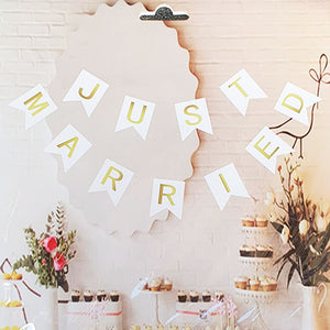 Just Married Banner